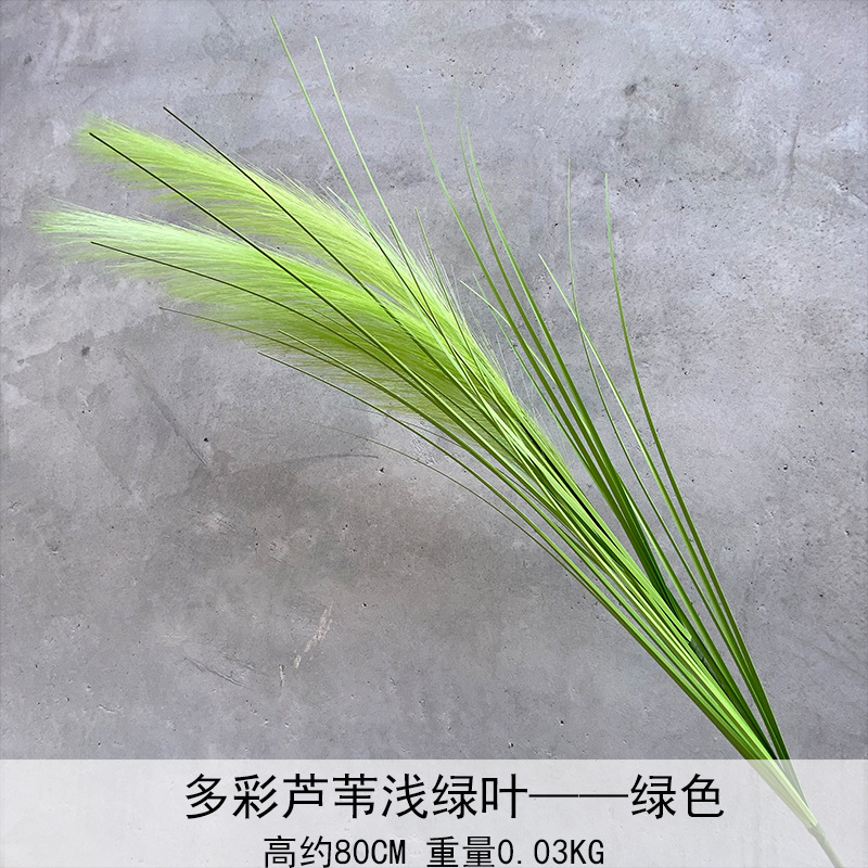 Caña hierba simulación de flores Cai Guoqiang Fuegos artificiales Caña Fuegos artificiales diurnos Fuegos artificiales diurnos Caña Fuegos artificiales