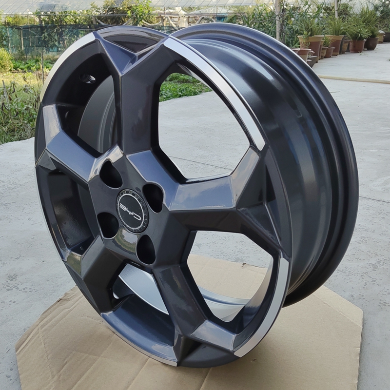 Suitable for Byd Su Rui Qin Dolphin Modified Seagull Hub Wheels
