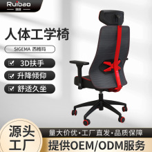 瑞宝家用人体工学椅老板椅可躺坐背联动网布椅学习椅工厂加工定制