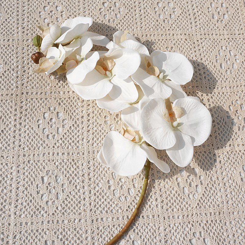 O1CN01sHJKyb1s540ku0aZj_!!4036