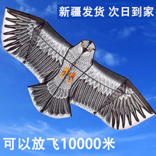 ���½����L�~���˴��̓�ͯ���w��݆����݆�P�������w���