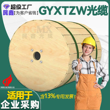 民鑫光缆GYXTZW单模光纤4芯6芯8芯12芯铠装户外光缆束管式光纤线