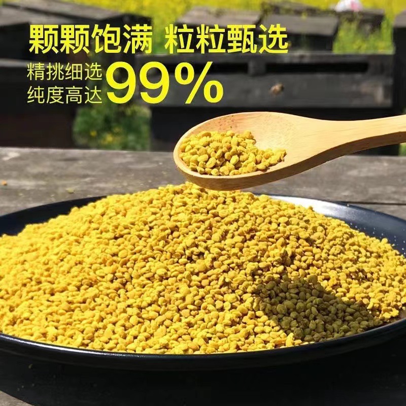 新鲜青海油菜花粉天然食用蜂花粉男性前列500g未破壁正宗天然喂蜂