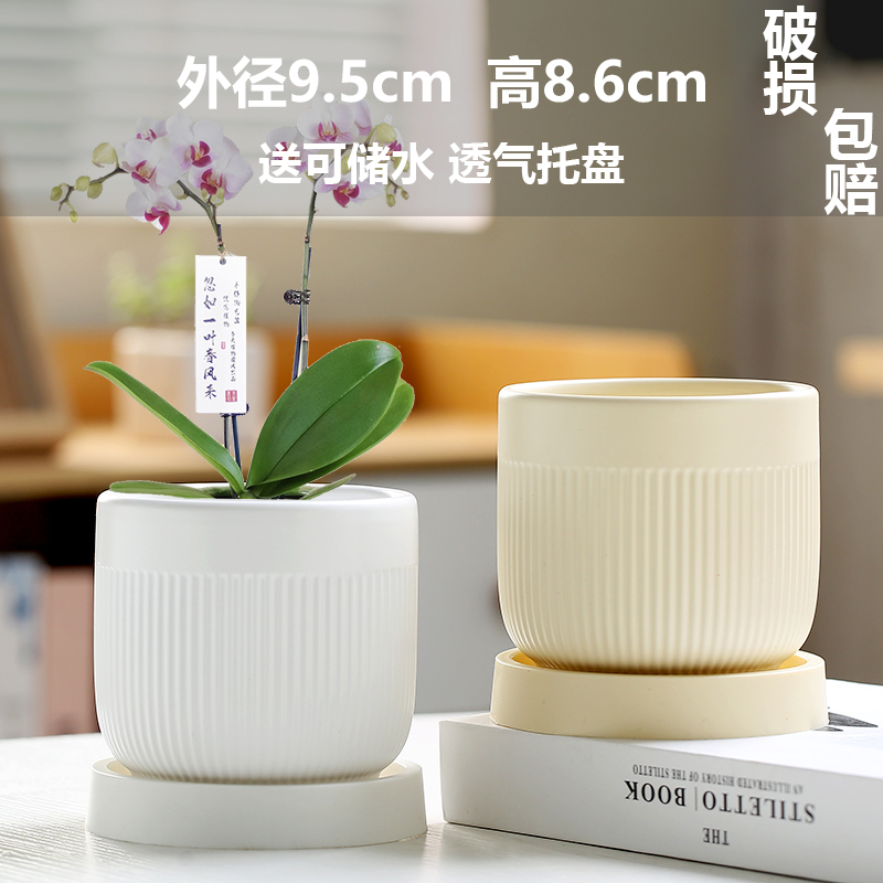 스몰 사이즈 얀위 2개(매트 화이트+레몬)(트레이 포함)