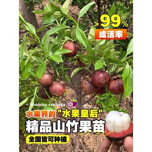 ɽ����玧��̩���o�˼޽ӹ������Ϸ��ļ�ͥԺ�ɷN����Y�������