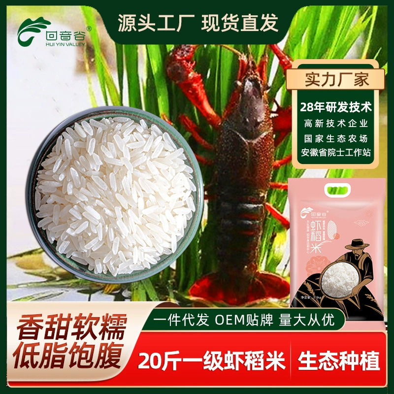 Поздний рис индика, рис, рис, рис, шелк, рис, рис