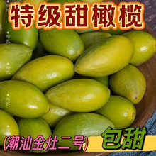 金灶甜种冰糖特产现摘橄榄新鲜青果二号潮汕孕妇水果生吃无渣