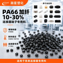 PA6;PA66;PPA