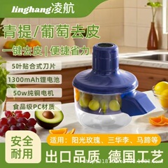 全自动葡萄去皮机智能家用商用电动水果青提子大蒜头剥皮机神器