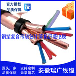 ZRCDJYP2VP2、ZRCDJYP2VRP2阻燃双屏蔽电缆ZRCDJYP3VP3-450/750V