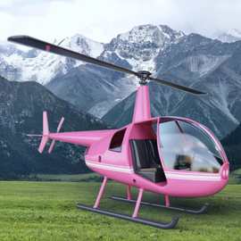 露营地景区拍照道具大型直升机模型罗宾逊 R44R22仿真静态直升机