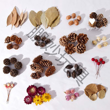 Ȼɹɻ~ɹmϹϸ~׃@h޹DIY