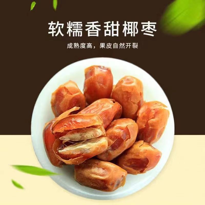 Large Golden Jujube Dates Dried Fruit Snack Premium Grade 500g Bag in use