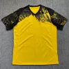 2526 Dortmund home court
