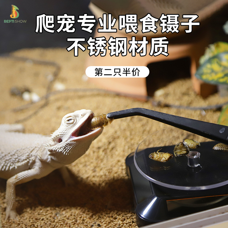 乌龟爬宠守宫角蛙龙鱼喂食镊子宠物硅胶喂食夹子加长不锈钢喂食器