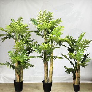 ���洺��͏d�����҃��k���Ҵ��~����ֲ����;Gֲ�՚����ϲ����