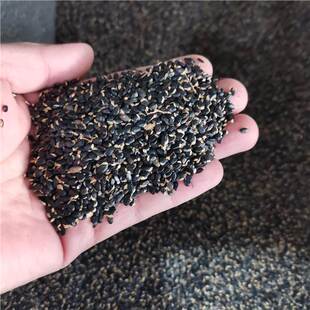 ��Ϛg�N������������Ϣ��ţ�ǻ��h�ʖř������~�N��4