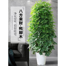 _ľȩͰ˷̨ؔ҃͏dͥԺGֲܰlؔ