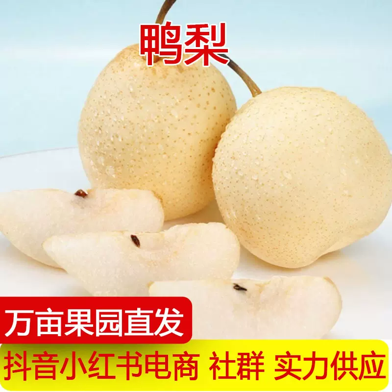 河北正宗鸭梨皇冠梨子新鲜斤水果雪梨砀山梨翠冠梨当一件代发