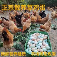 ���r���u���r��ɢ�B���u�����u���������u�����ӵ������G�������l