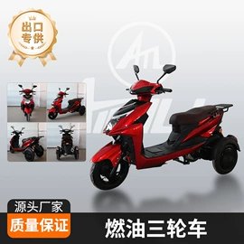 电动三轮车;两轮摩托车;电动摩托车