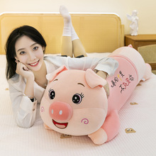 �ɐ��L�lſ�i����ë�q�����ż�����i���ЊA��ſ����������ż���l