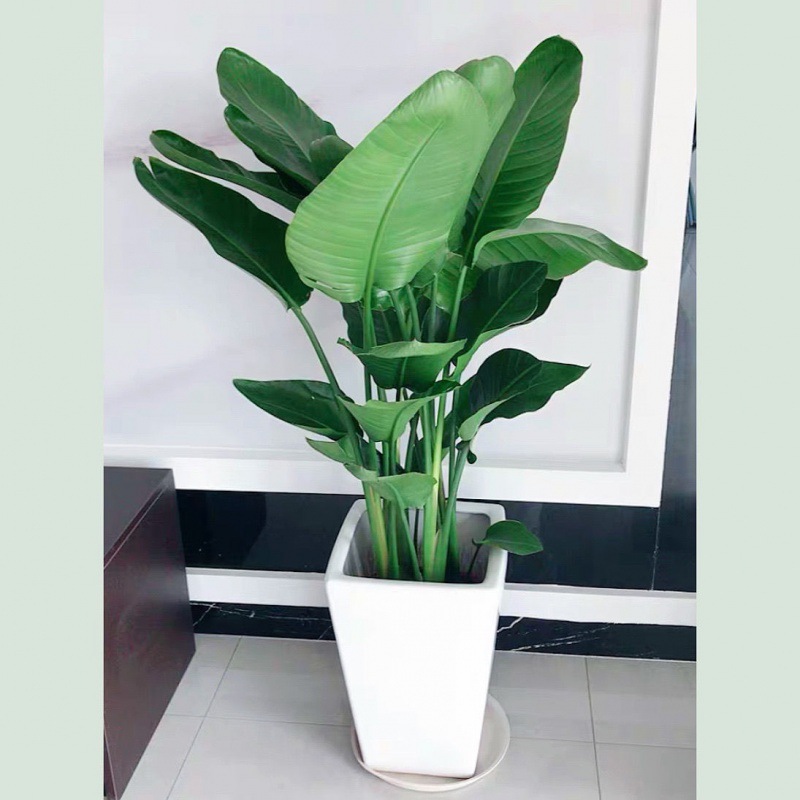 사다리꼴 도자기 대야 [상점 추천]