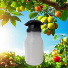 �rƤ���u�羳���R�d ��ω�� ��ωƿ ��ω�T�����nωƿ �nω�T����