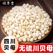 ��ș�����ڟo��ؐĸ��؛ؐĸ��ؐĸƽֹؐ�Ҝ���ؐĸ��ؐ��ԭ��