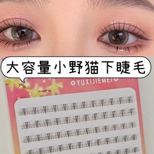 СҰè�½�ë�����컨�������ű�������ϵ�ֶε��ؼ޽Ӵ�������ë