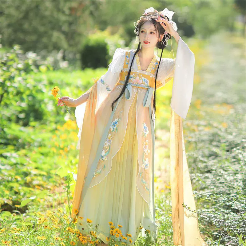 Hanfu женский взрослый китайский элемент улучшен в древнем стиле