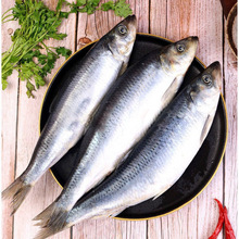 ���r������E�~�خa���y��؛�D���~���^ԭ�Ϻ����^������l