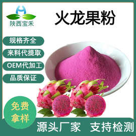 火龙果粉  红心火龙果粉 水溶巴西莓蓝莓固体饮料各种果蔬粉原料