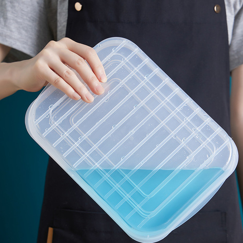Japanese soft lid non-stick bottom fish steak crisper refrigerator bacon sealed refrigerated box seafood frozen storage box
