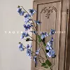 Blue, orchid