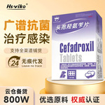 宠物消炎药头孢氢氨苄片6片/版猫咪狗狗皮肤尿路感染药品犬用兽用