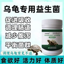 乌龟益生菌调节肠道菌群平衡增强活力改善饲养环境增强食欲