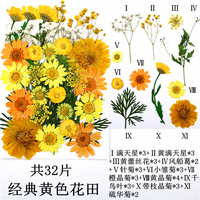 Paquete de material de estampado de flores secas Paquete de combinación de flores presionadas Flor real Hoja de espécimen pegatinas