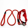 Pet chest back led rope traction rope puppy traction rope pet traction rope pet supplies 6