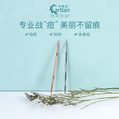 Catral Acne Needle Professional Beauty Dark Spot Needle Double-Headed Stainless Steel Acne Needle Blackhead Extractor Pimple Picking Tool