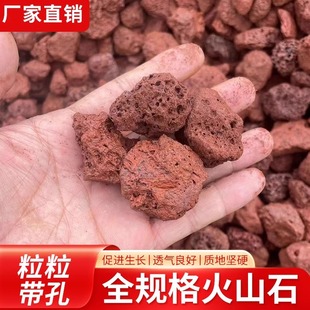 �tɫ��ɽʯ�S�҈@�־��^ͥԺ���@�쾰ʯ�@ˇ������|��׻�ɽ��