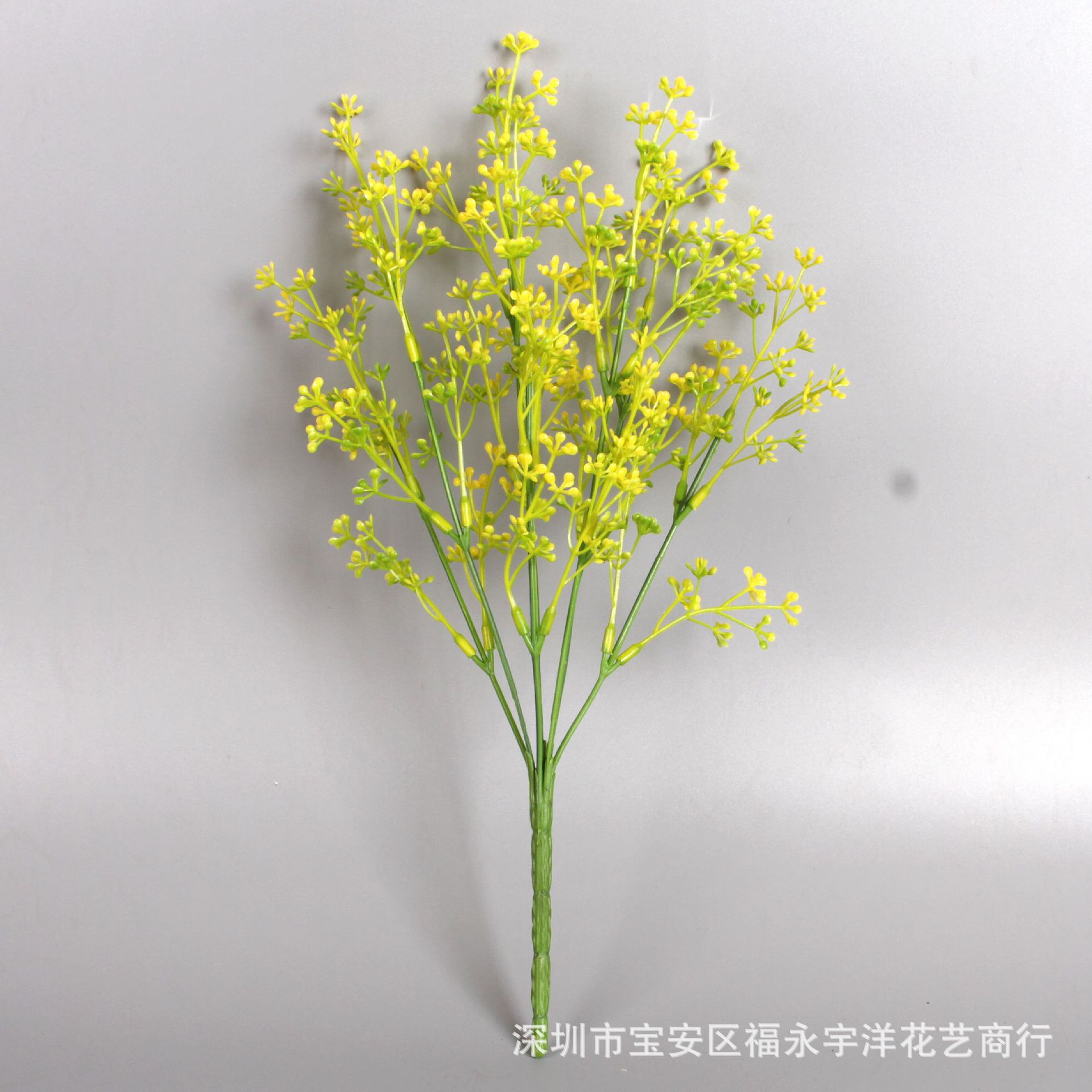 IMG_0555_副本.jpg