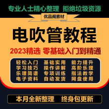 乐器视频学习课程实用教程吹管零全套基础实用电教材管入门初学者