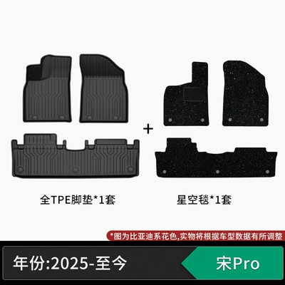 Suitable for BYD, TPE: Modelə uyğun ayaqaltı - 25-models-of-byd-song-pro-tpe-floor-mats-starry-sky-carpet