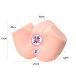 ���Ĵ�Ѩ���ε�ģƨ������˫ͨ�������԰���Ʒ�߳���ο������ֱ��