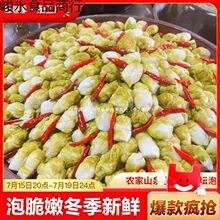 泡脆嫩冬季新鲜泡儿菜四川传统老坛泡菜土坛爽口菜500g下饭农家