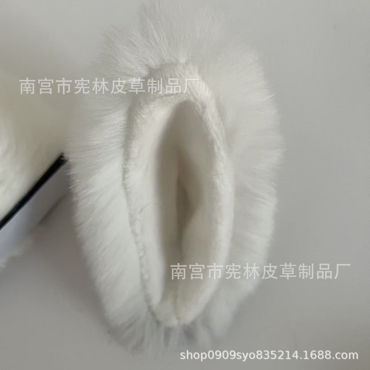 흰색 바탕에 흰색