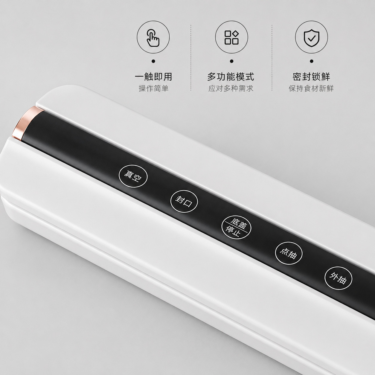 Household and commercial food vacuum sealer, wet and dry use