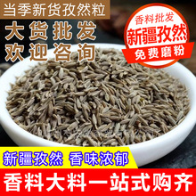 �����½���Ȼ���������l ��Ȼ���� ��Ȼ�� ������������ ��؛���l