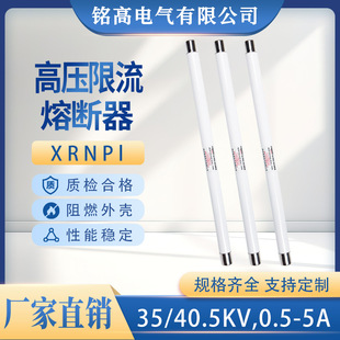 �߉��۔���xrnp1-35/40.5kv�����۹�PT25*465mm0.5A���������o